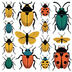 Colorful Collection of Insects and Beetles