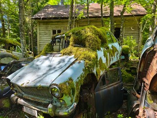 bastbas fanous cemetery of cars in sweden
