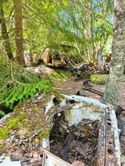 bastbas fanous cemetery of cars in sweden