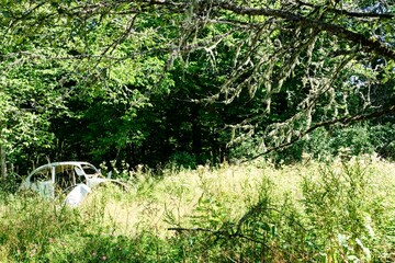 bastbas fanous cemetery of cars in sweden
