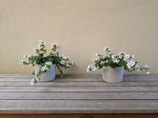 flowers in a vase on a wooden table
