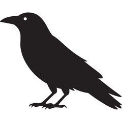 A stark black crow silhouette standing against a plain white backdrop with a single white eye detail on transparent background