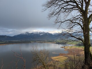 Scenic mountain lake with reflections of snowy peaks and cloudy sky, bare tree branches in foreground, tranquil alpine landscape, travel and tourism concept.