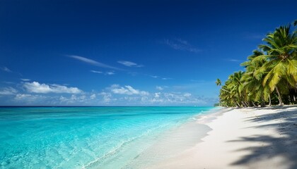 Fototapeta premium tropical beach with crystal clear blue ocean and palm trees