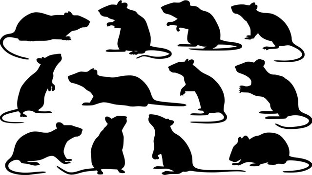 Collection of twelve stylized rat silhouettes, each one uniquely posed to depict natural rodent behavior. The images are evenly spread across a white background in a clean, modern design suitable for 
