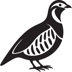 A stylized black and white illustration of a partridge bird standing on a white background vector art on transparent background