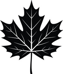 Maple Leaf vector black silhouette print design