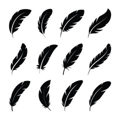 Set of Simple Black Feather Icons
