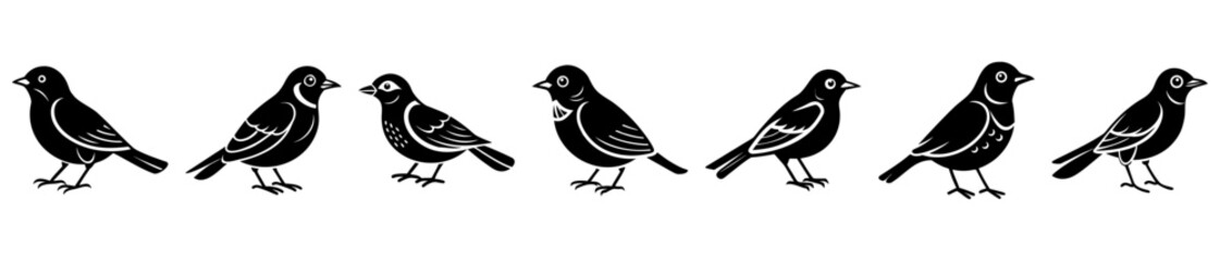 Seven black birds are standing in a row on white background