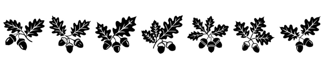 Black and white oak leaves and acorns with detailed vein design