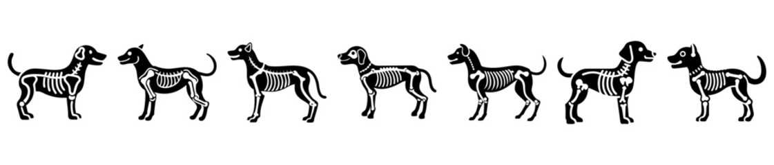 Skeletal Dogs Silhouettes Set, Dog Anatomy and Skeleton, Veterinary Medicine Education