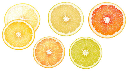 Dried and fresh citrus fruit wheel slices PNG set, cutout isolated on transparent background. Grapefruit, orange, lemon, lime cocktail garnish decoration graphic resource cut out PNG