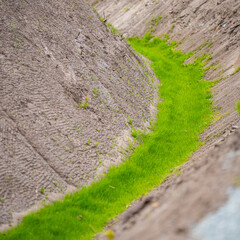 sowing grass by the highway, ditch in the grass
