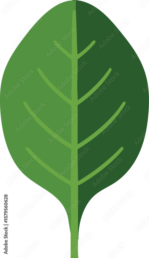 Poster green leaf vector illustration with simple design and natural shape for environmental and botanical 