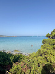 Serene Beach Scene with People Enjoying the Water La Pelosa Sardinia 