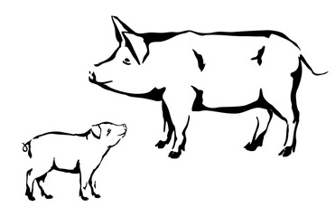Pig sow with a piglet, farm animals with their baby, black and white light and shadow vector illustration for education materials, children book, veterinary content and farm themed content
