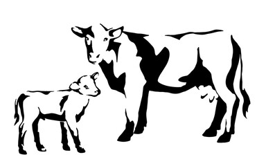 cow  with a calf, farm animals with their baby, black and white light and shadow vector illustration for education materials, children book, veterinary content and farm themed content