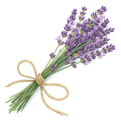 Stunning Lavender Bouquet Enhance Your Designs with this Vibrant Floral Illustration Isolated On Transparent Background