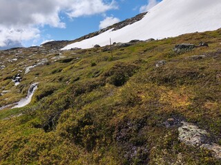 amazing beautiful swedish scandinavian nature