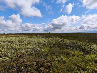amazing beautiful swedish scandinavian nature