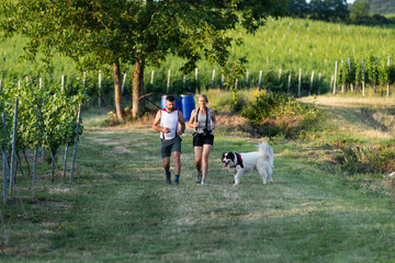 couple running in nature in summer