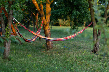 hammocks hanging in garden in summer