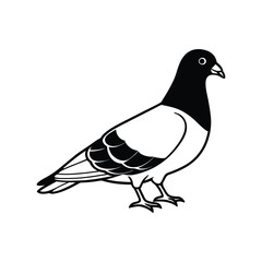 Obraz premium A pigeon silhouette vector art illustration on white background