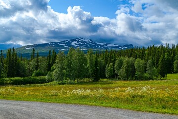 amazing beautiful swedish scandinavian nature