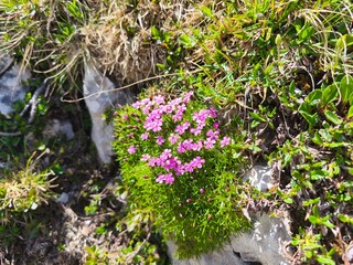 amazing beautiful swedish scandinavian nature