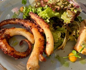Seafood, Salat mit Meeresfr&uuml;chten