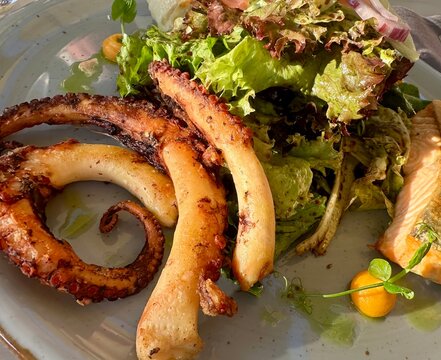 Seafood, Salat mit Meeresfr&uuml;chten