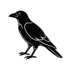 Obraz premium Full black crow silhouette vector illustration on white background