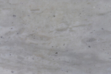 Marble Surface Close-Up