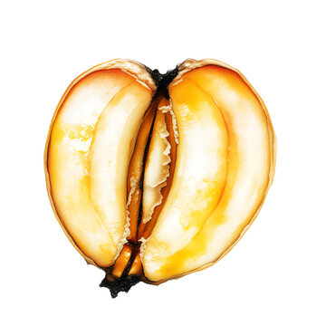 a close up shot of a sliced open fruit revealing its inner texture and seed on transparent background