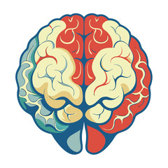 Colorful brain illustration highlighting lobes in a creative design