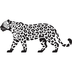 A black and white illustration of a jaguar walking with a spotted pattern on a light background on transparent background