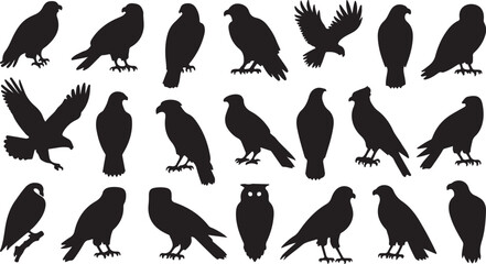 Diverse raptor silhouettes in various poses eagle hawk