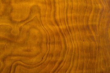 wood texture background
