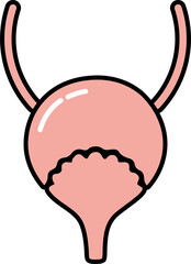 Human Bladder Icon