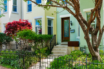 peaceful Capitol Hill sidewalk lined with blooming bushes and historic rowhouses.