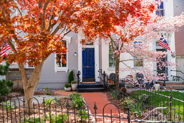 Tranquil residential street lined with vibrant greenery and blooming shrubs in springtime.