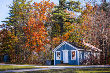 A cozy blue cabin nestled in a forest of vibrant autumn foliage under a clear sky. Warm, golden leaves surround the rustic home, capturing the peaceful essence of fall in the countryside.