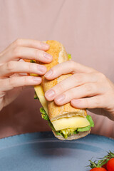 Hands Holding Fresh Cheese Sandwich with Baguette