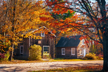 Rustic wooden cabins surrounded by vibrant autumn foliage in a peaceful countryside setting, bathed in warm fall sunlight.