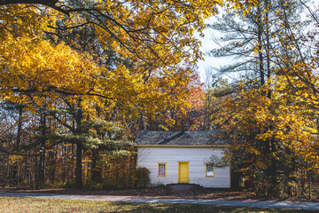 Cozy white cottage with yellow trim surrounded by vibrant fall foliage. A large  tree with golden leaves frames the scene, evoking warmth and seasonal charm.

Keywords: