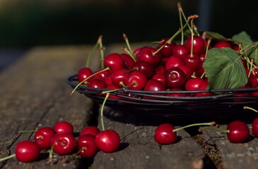 Freshly harvested cherries lie in a metal basket. The basket stands on an old wooden table. Some cherries are lying next to the basket.