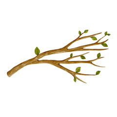 Colorful spring branch with green leaves. Vector graphics.