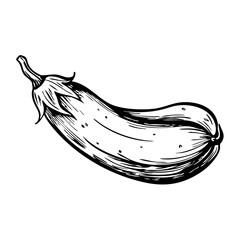 Vintage sketch of an eggplant with detailed line art representation  