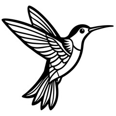Obraz premium Hummingbird vector, a hummingbird art design, vector of a hummingbird, simple hummingbird art, a hummingbird isolated
