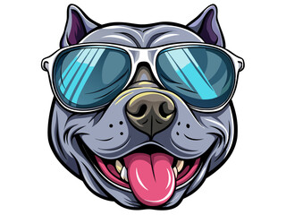 pit bull